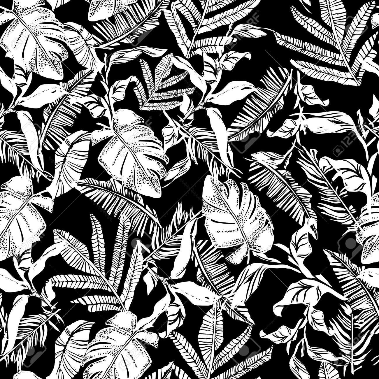 Vector seamless pattern with compositions of graphical tropical leaves, palm leaves,banana leavesand jungle plants. Beautiful black and white tropical seamless background - 154727953 Vector seamless pattern with compositions of graphical tropical leaves, palm leaves,banana leavesand jungle plants. Beautiful black and white tropical seamless background - 154727953