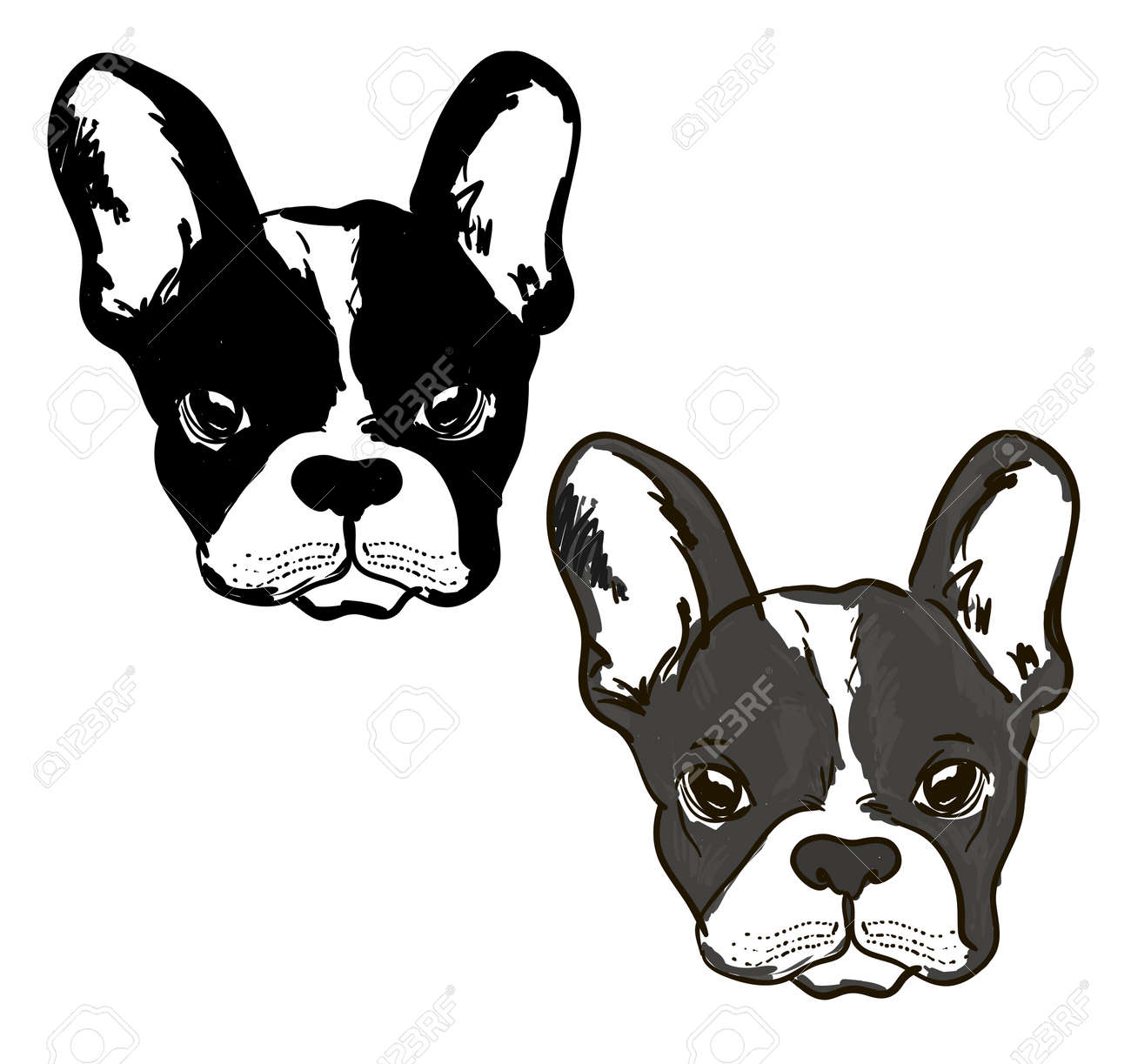 Cute dog Muzzle of frenchie buldog with bunny ears in black & white colors illustration. - 154727954 Cute dog Muzzle of frenchie buldog with bunny ears in black & white colors illustration. - 154727954