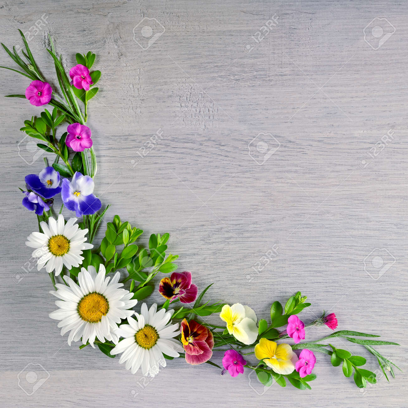 flower composition flower composition