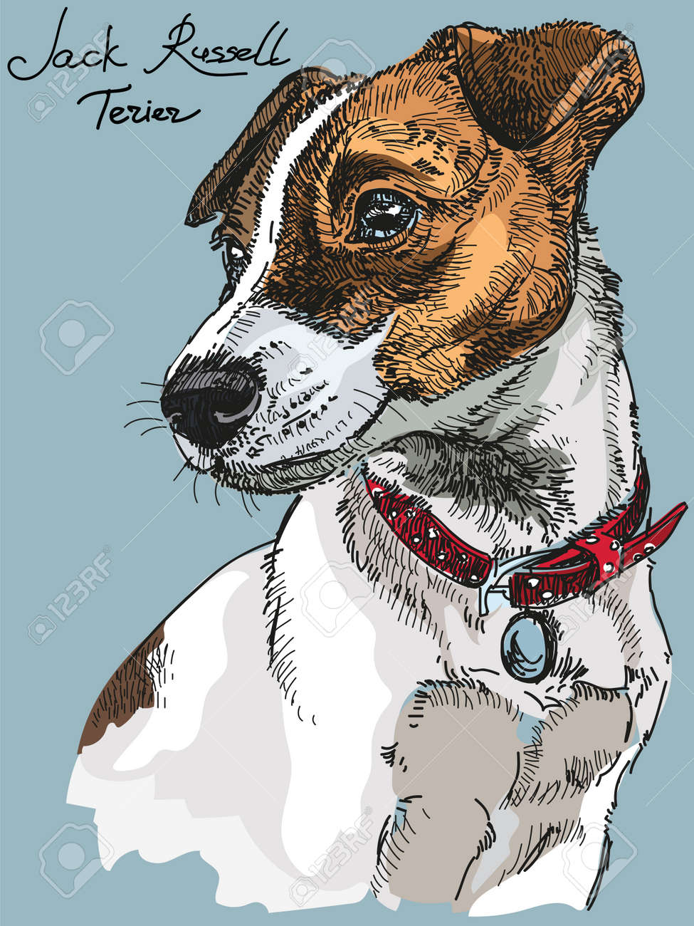ジャック ラッセル テリアの犬のカラフルなベクトルの肖像手青色の背景色の描画図のイラスト素材 ベクタ Image