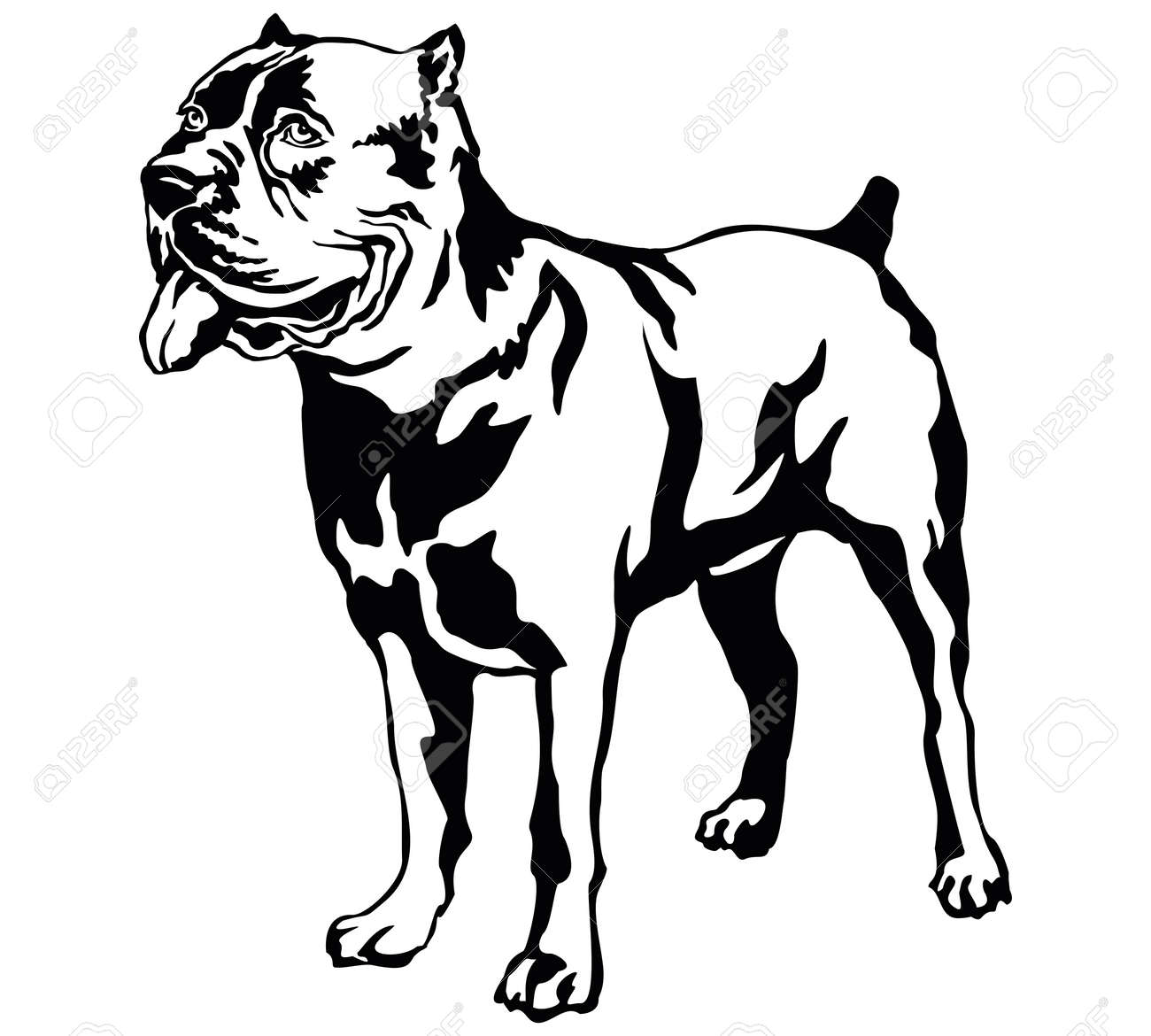 新鮮な黒い 犬 イラスト 動物ゾーン 新鮮な黒い 犬 イラスト 動物ゾーン
