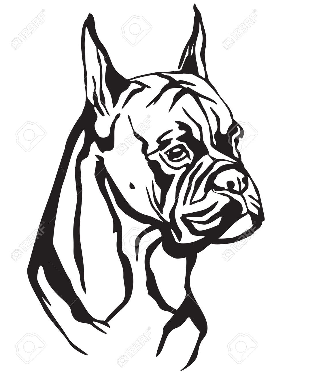 Decorative Portrait Of Dog Boxer Vector Isolated Illustration