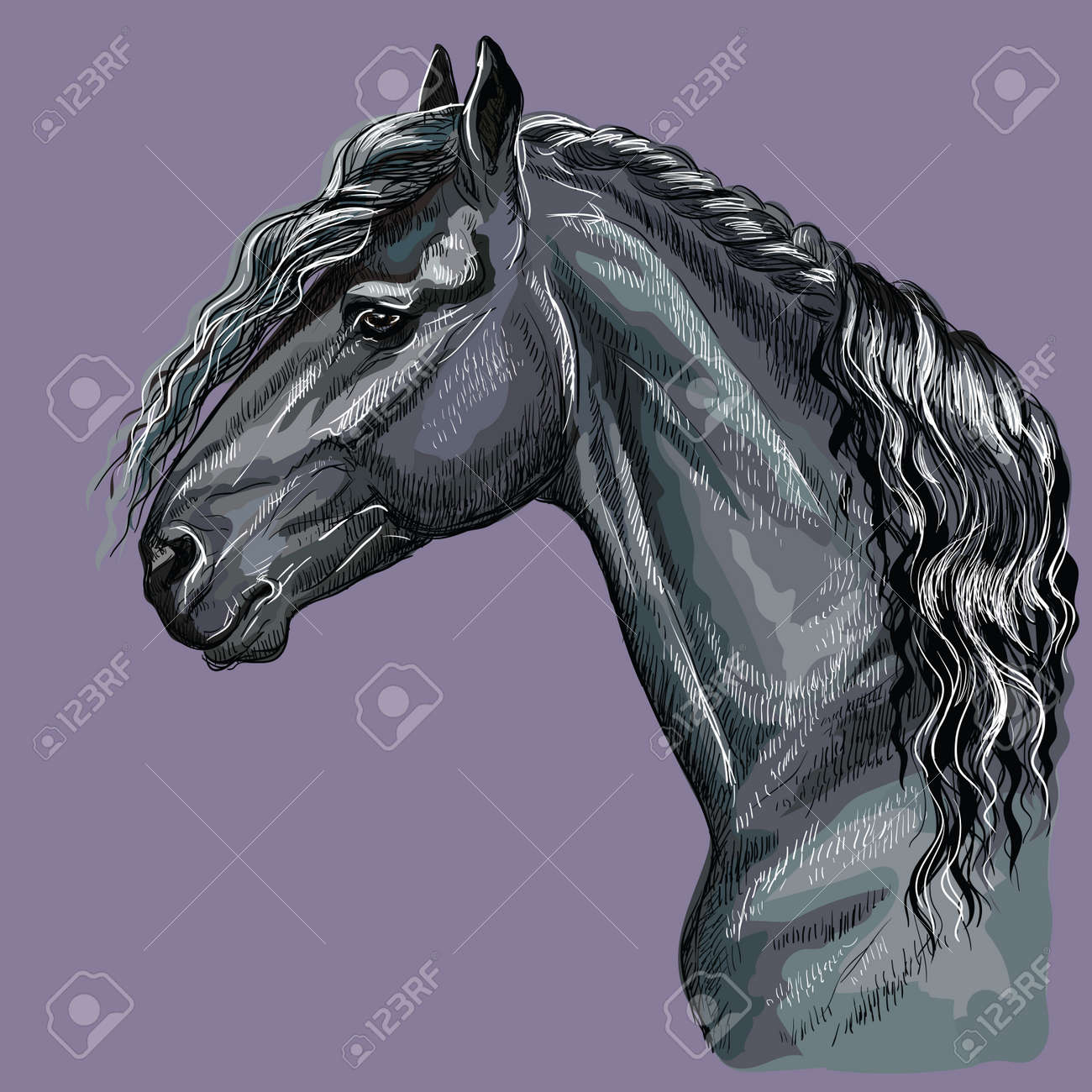 Colorful Hand Drawing Portrait Of Friesian Horse Horse Head Royalty Free Cliparts Vectors And Stock Illustration Image 119455135 colorful hand drawing portrait of friesian horse horse head