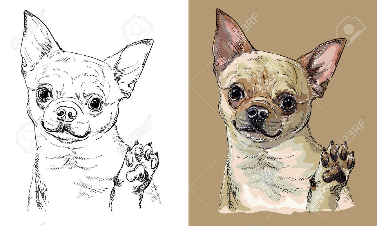チワワ】手描きイラスト 原画 《1311 》（チワワ犬ベクトル