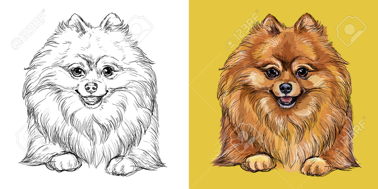 原画】『苔むした鎧 〜戦士ポルメク〜』（犬 ポメラニアン パステル画