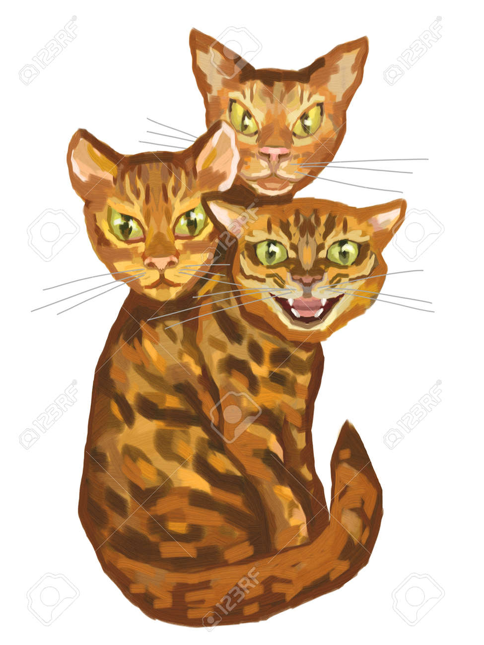 Cat With Three Heads Illustration Stock Photo, Picture and Royalty Free  Image. Image 92032520., image size:975x1300
