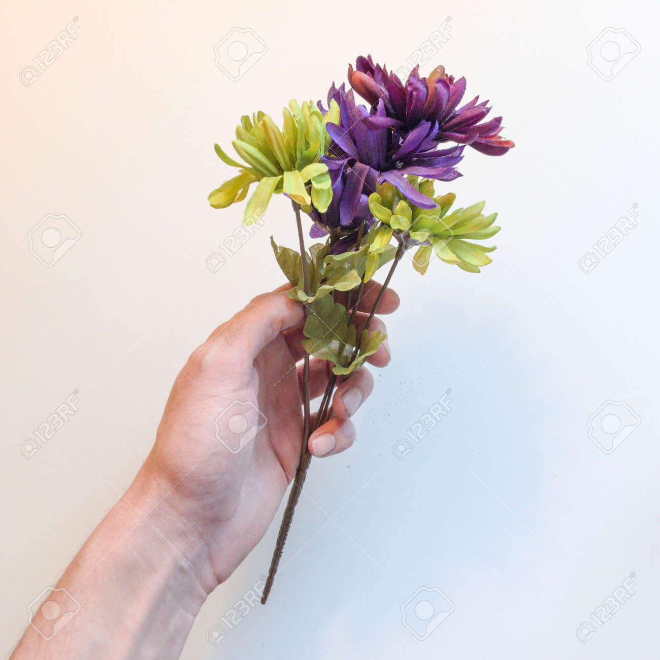 花を持つ手 の写真素材 画像素材 Image