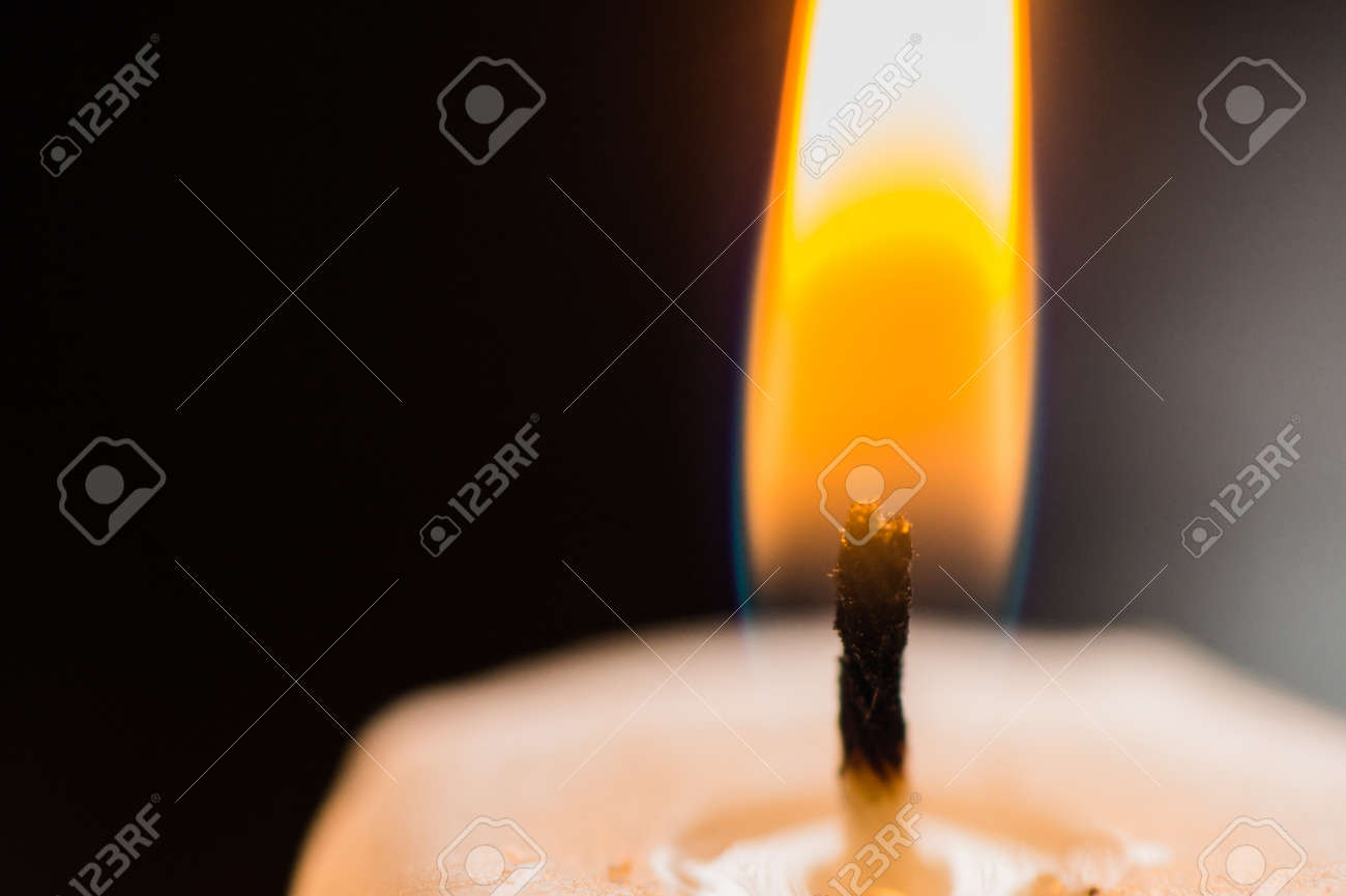 etiam-dictum-ipsum-a-felis