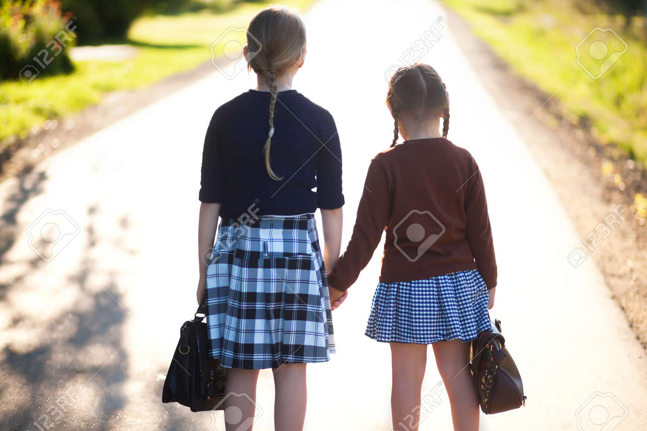 old fashioned school bolsas