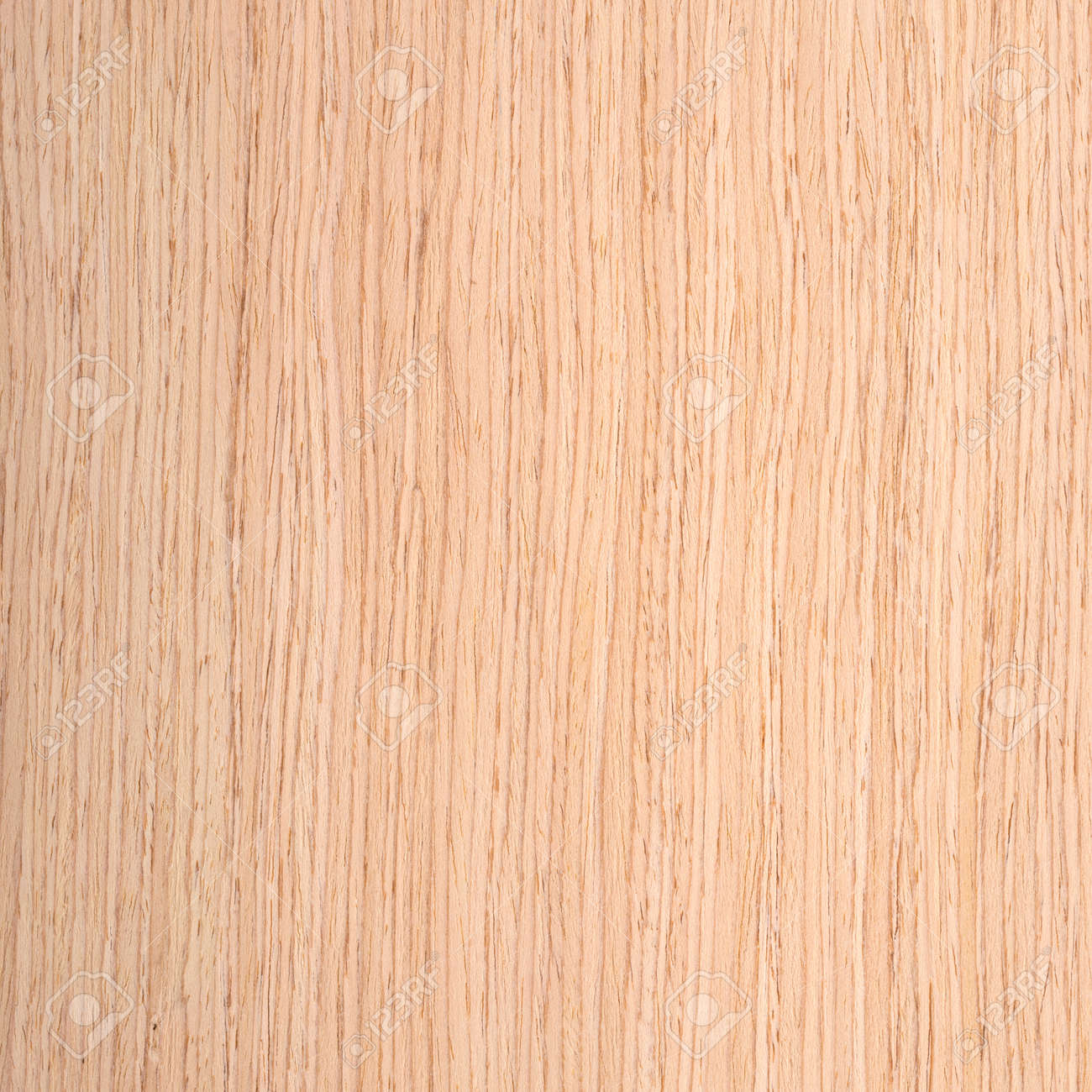 オーク材 木製の背景のテクスチャ の写真素材 画像素材 Image