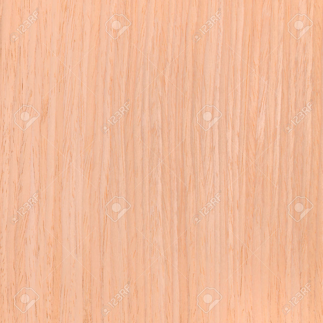 オーク材 木目のテクスチャ の写真素材 画像素材 Image