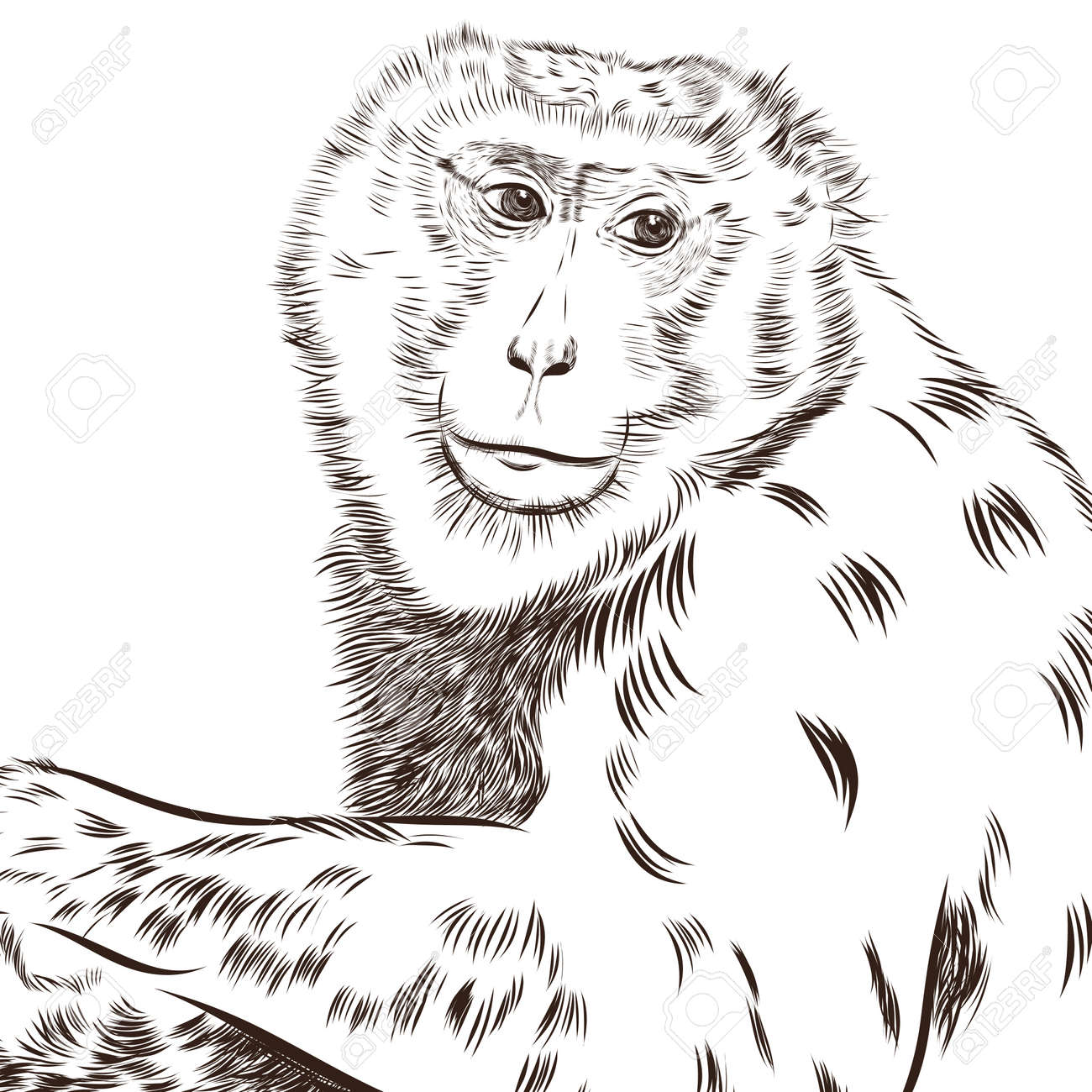 chimpanzee drawing vector animal artistic drawing use for your