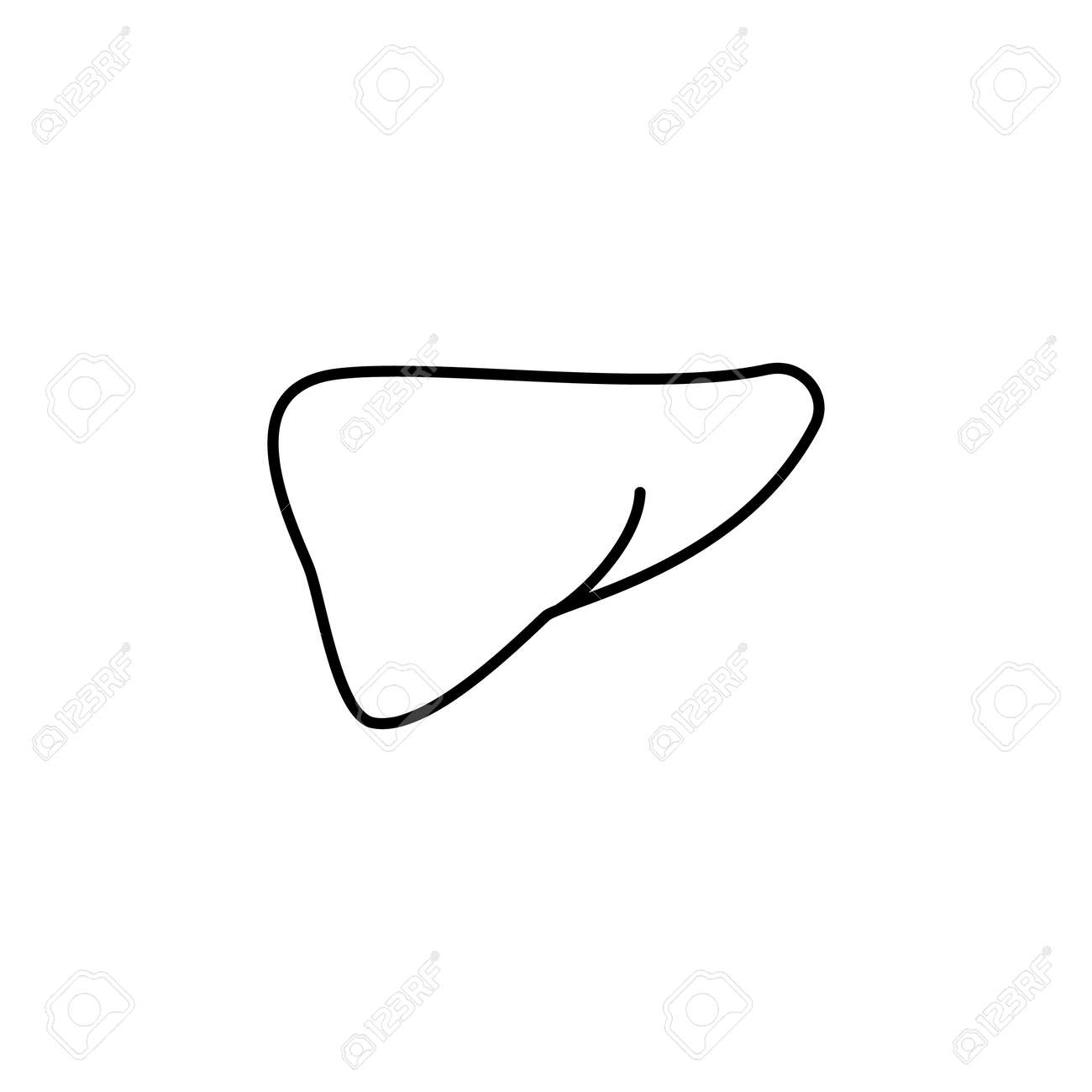liver icon body part element premium quality graphic design simple body outline