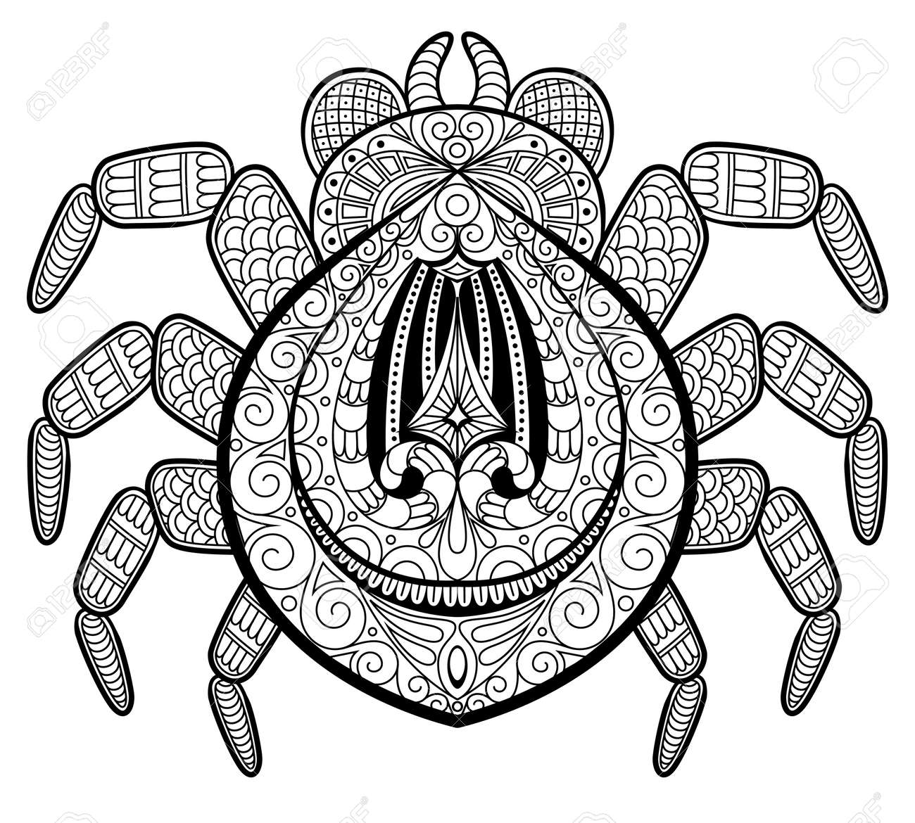 Spider in zentangle style for tattoo Print or t shirt Adult antistress coloring