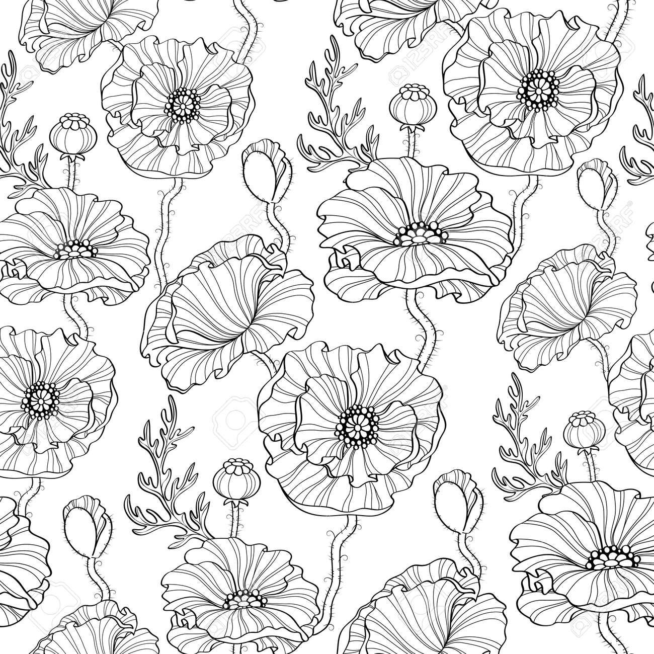 ポピーの花とのシームレスなパターン 花の背景 黒と白のイラスト のイラスト素材 ベクタ Image