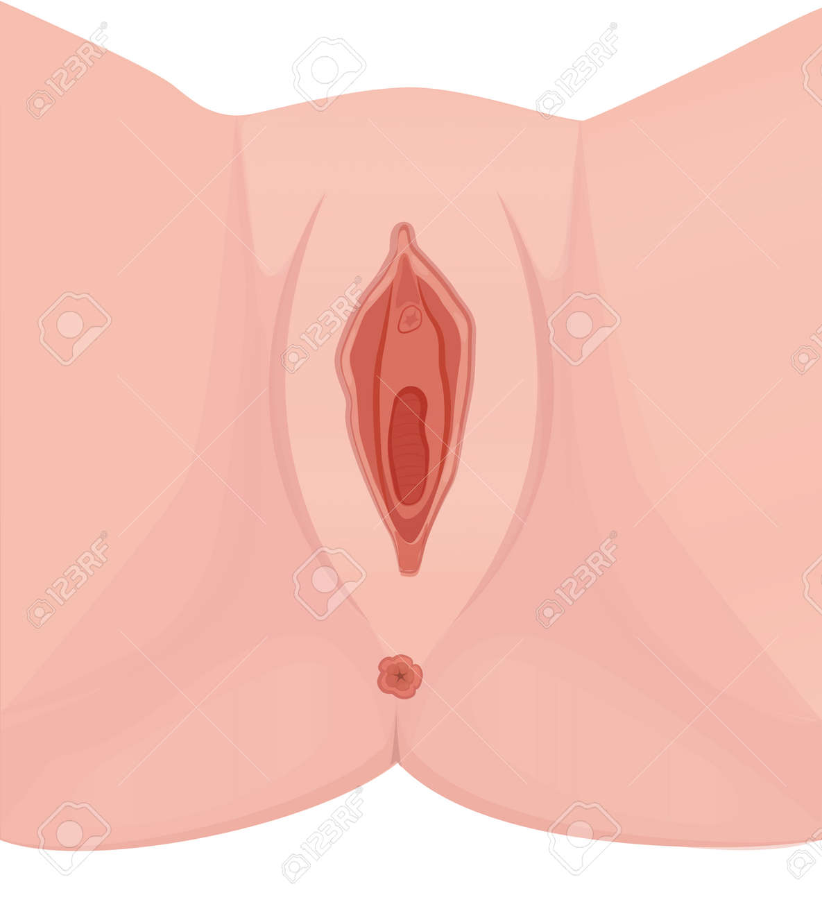 Painful latina whore anal Vulva pictures female free