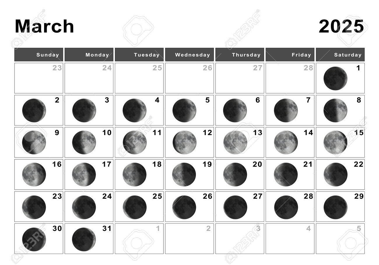 2025 년 3 월 주식 시장 전망 및 전략