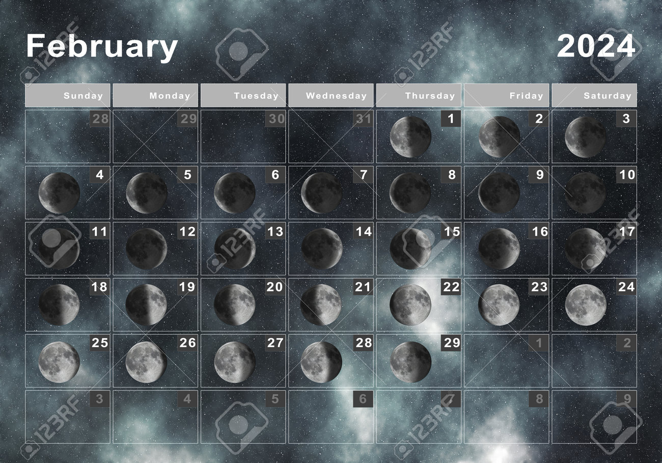 Calendario lunar 2024 Vectors & Illustrations for Free Download