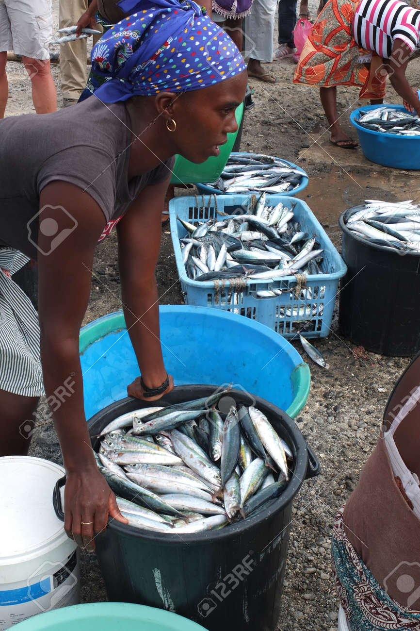 Tarrafal 11 月 29 日 ベルデ岬 アフリカの女性はビンにサバを入れています 彼女は 12 年 11 月 29 日 Tarrafal カーボベルデの魚市場でそれらを行う準備ができて の写真素材 画像素材 Image