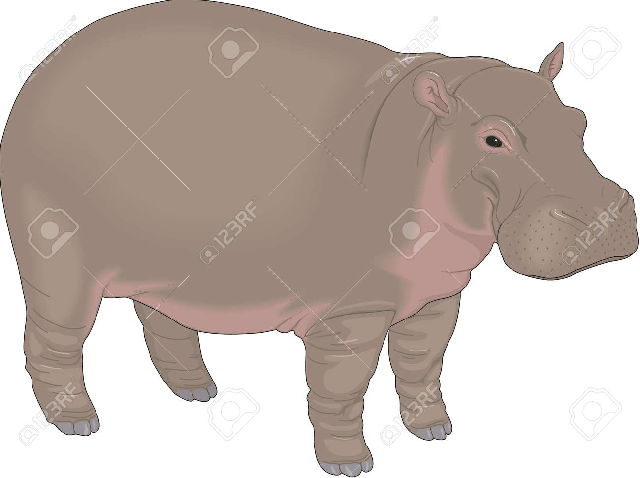 カバ 動物ペン画No.18 カバ 動物ペン画No.18