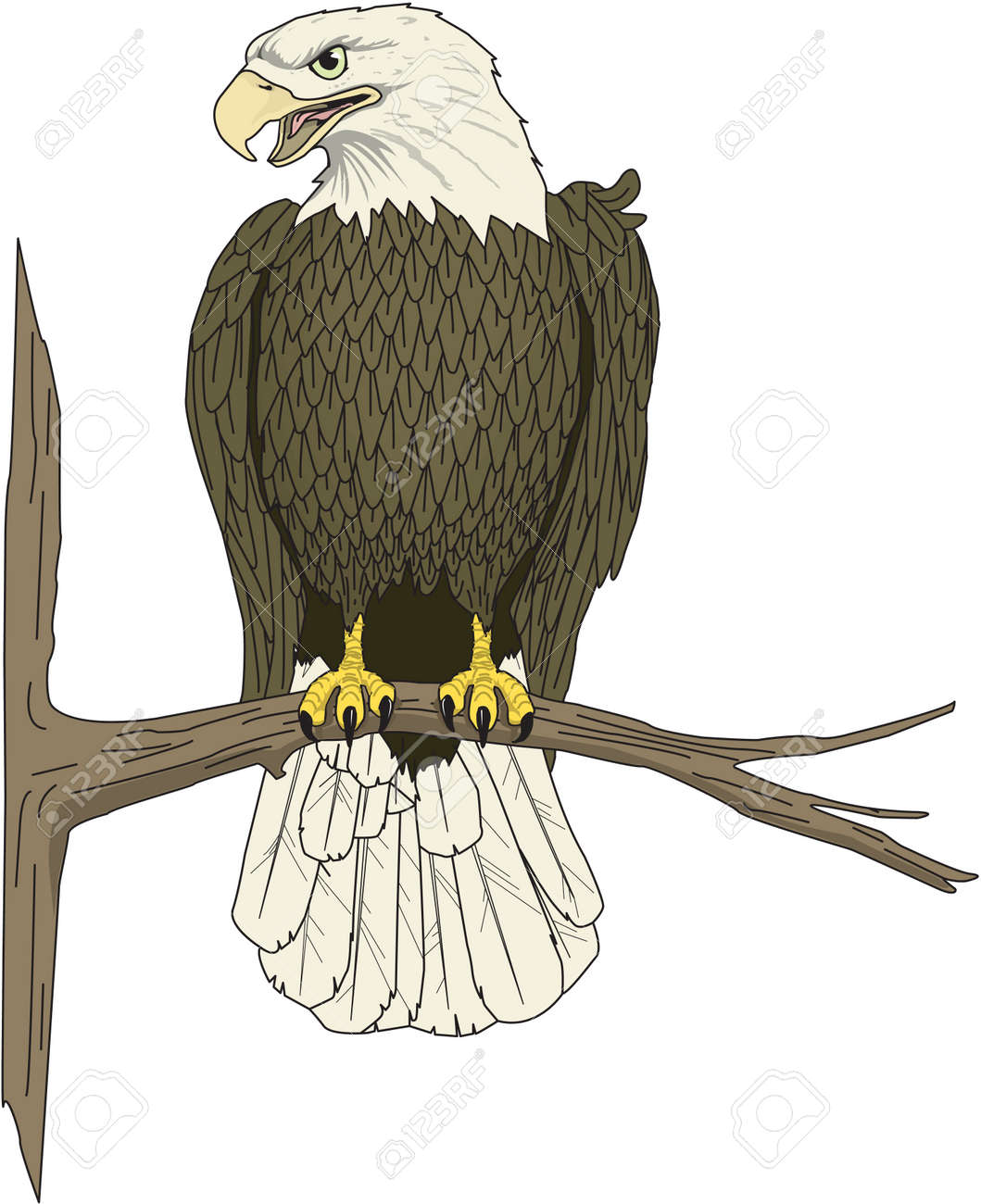 eagle perched illustration royalty free cliparts vectors and stock