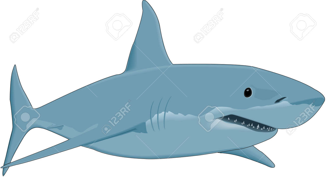 偉大な白いサメの図のイラスト素材 ベクタ Image
