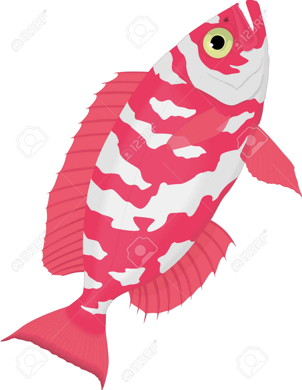 ガラスの目鯛図のイラスト素材 ベクタ Image