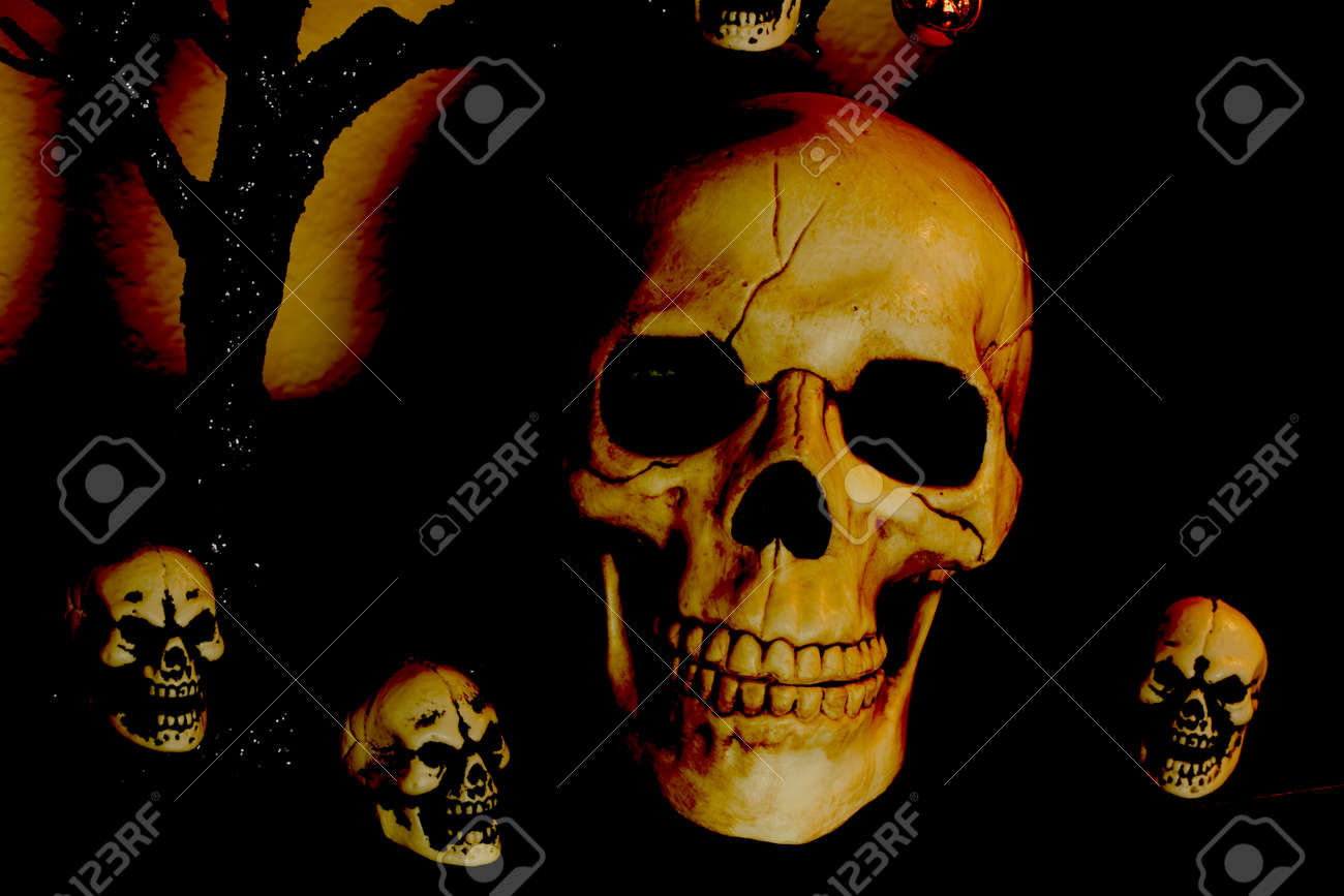 Halloween Skulls Small And Large Decorations For The Holiday Stock Photo 68961034 Halloween Skulls Small And Large Decorations For The Holiday Stock Photo 68961034