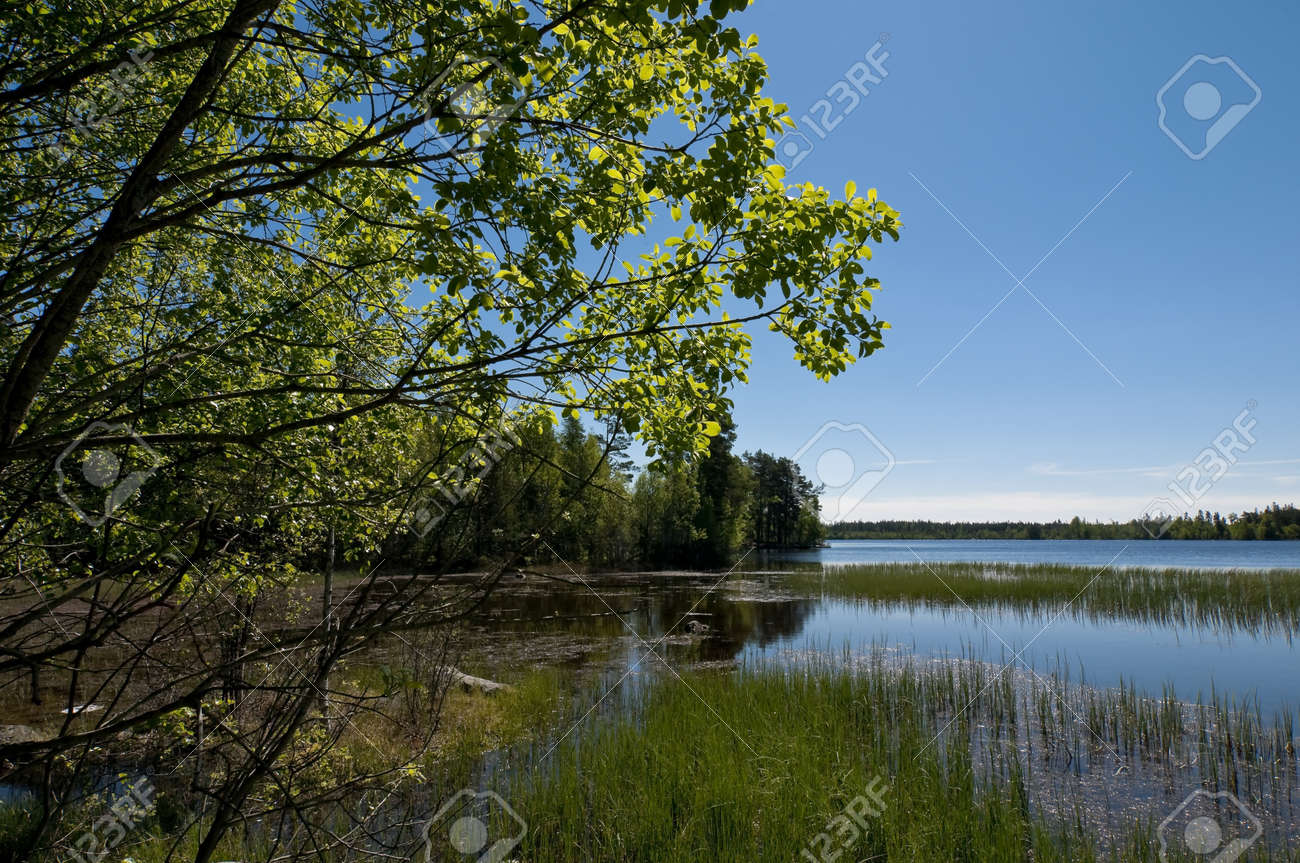 swedish idyll a lake