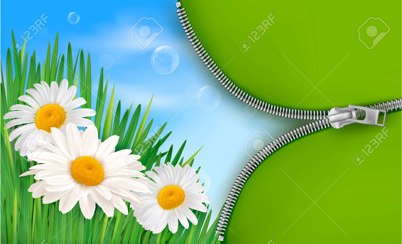 Nature background with spring flowers and open zipper. Vector illustration. - 12929965 Nature background with spring flowers and open zipper. Vector illustration. - 12929965
