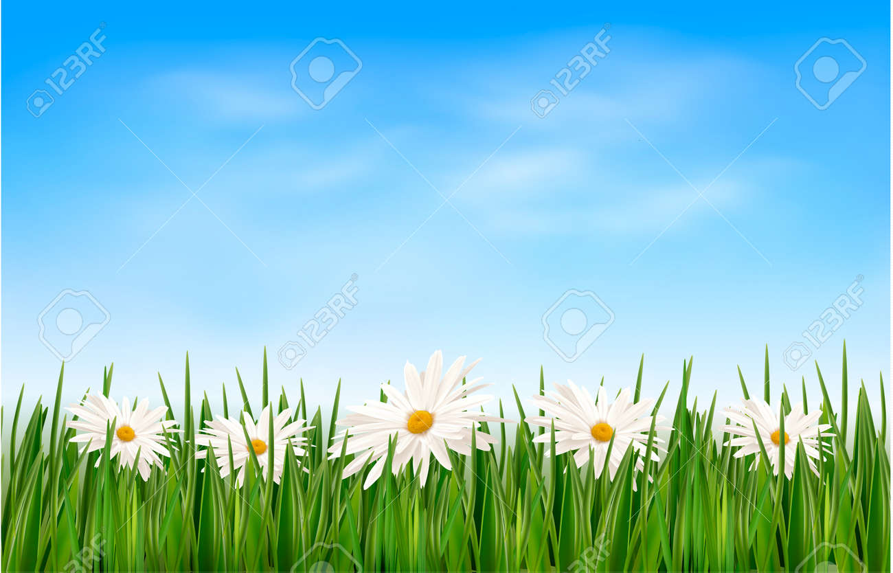 green grass blue sky flowers flower wallpaper nature background with green grass and flowers blue sky vector stock 19902328 background with green grass and flowers blue sky green grass blue sky flowers flower wallpaper nature background with green grass and flowers blue sky vector stock 19902328 background with green grass and flowers blue sky