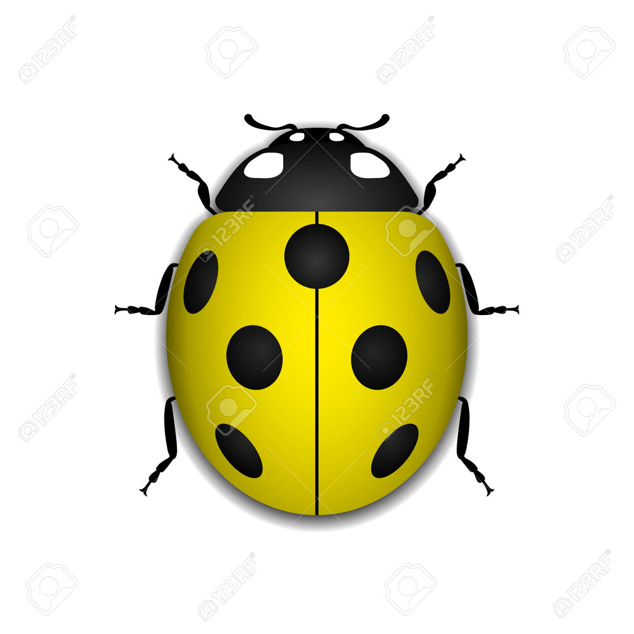 ladybug small icon yellow lady bug sign isolated on white lady bug designs