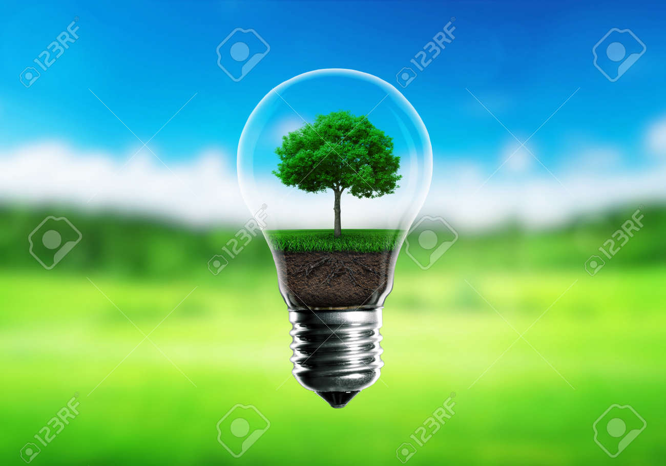 Green seedlings in a light bulb alternative energy concept, green blurred background. - 48314881 Green seedlings in a light bulb alternative energy concept, green blurred background. - 48314881