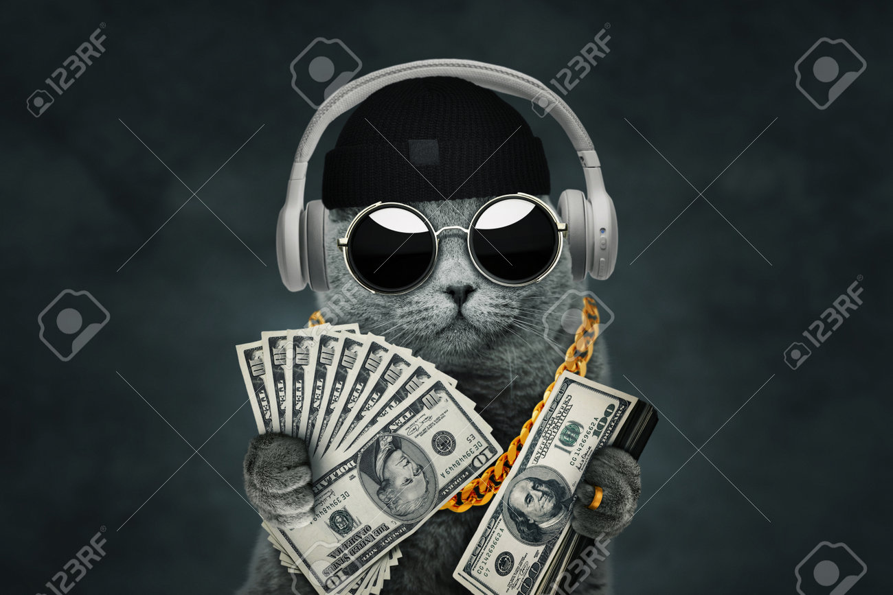 Cool Rich Gangster Boss Cat Hipster With Sunglasses, Hat, Headphones, Gold  Chain And Money Dollars. Business, Finance, Creative Idea. Crypto Investor  Cat Is Holding A Lot Of Money. Winning Concept Stock Photo,