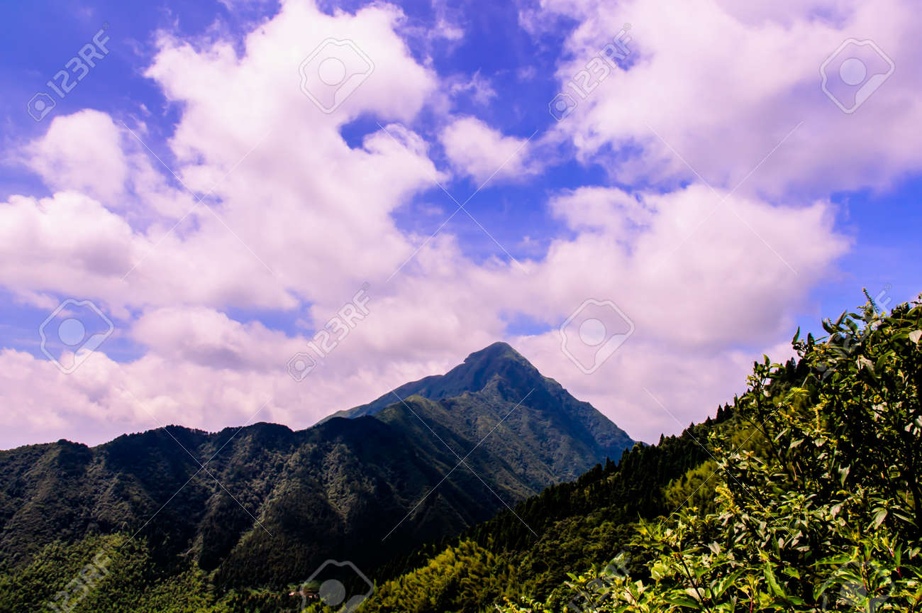 etiam-dictum-ipsum-a-felis