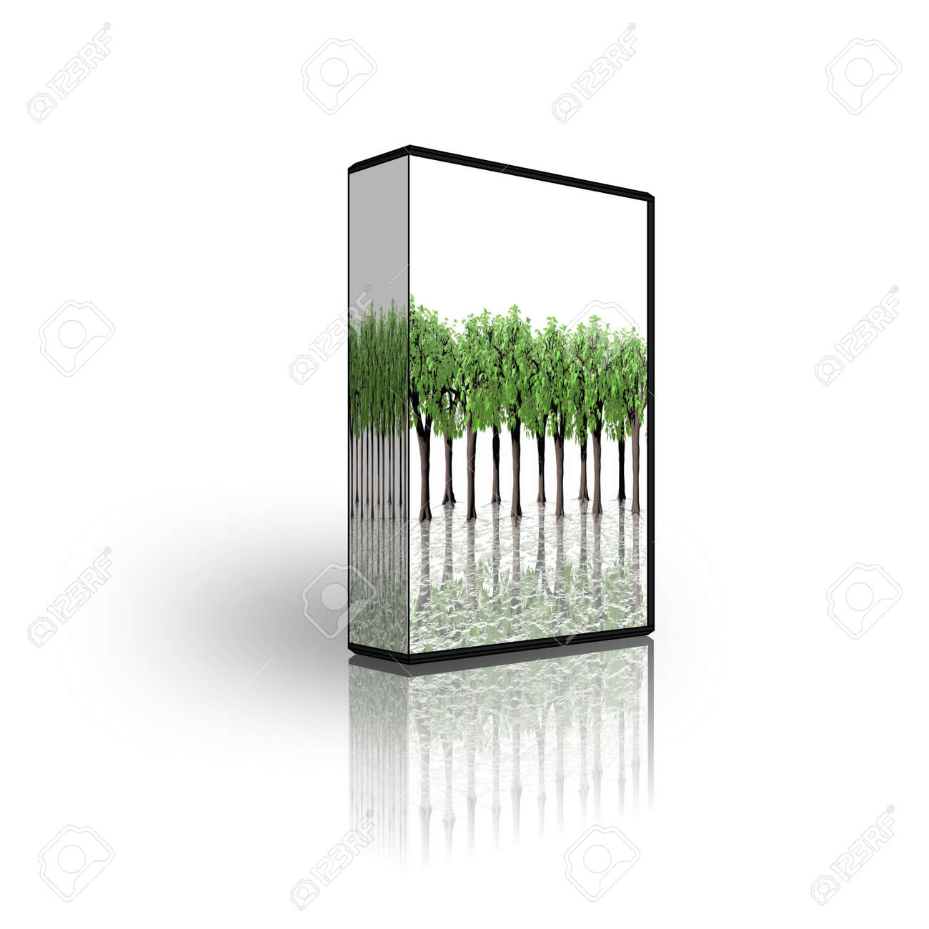 blank cd dvd box template isolated on white stock photo picture and