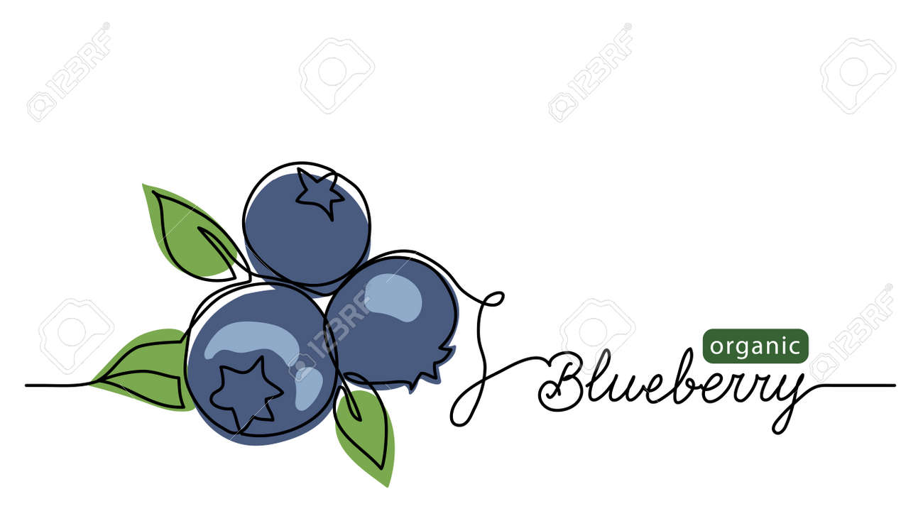 Blueberry Vector Illustration One Line Drawing Art Illustration Royalty Free Cliparts Vectors And Stock Illustration Image