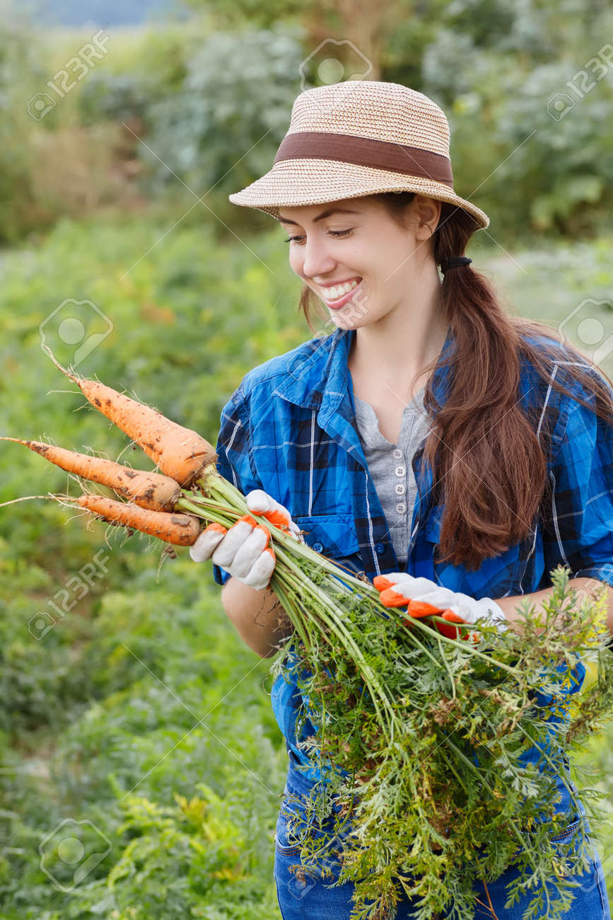 Gardening. Woman with organic carrots in a vegetable garden. Happy girl harvesting carrots in field. Gardener with carrots in garden. Harvest. Young farmer harvesting carrots. - 62220777 Gardening. Woman with organic carrots in a vegetable garden. Happy girl harvesting carrots in field. Gardener with carrots in garden. Harvest. Young farmer harvesting carrots. - 62220777
