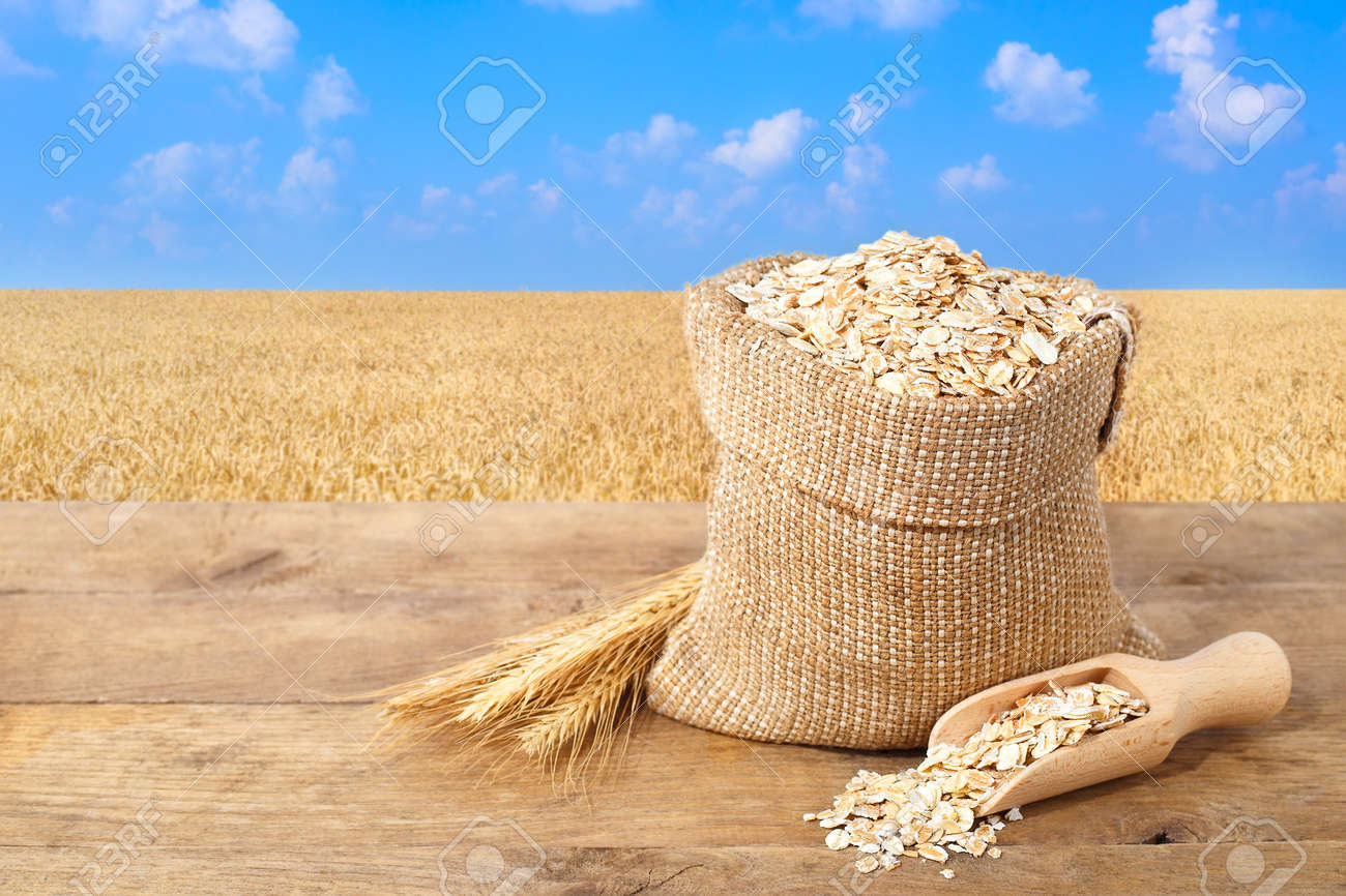 69677982-oat-flakes-in-sack-ears-of-oats