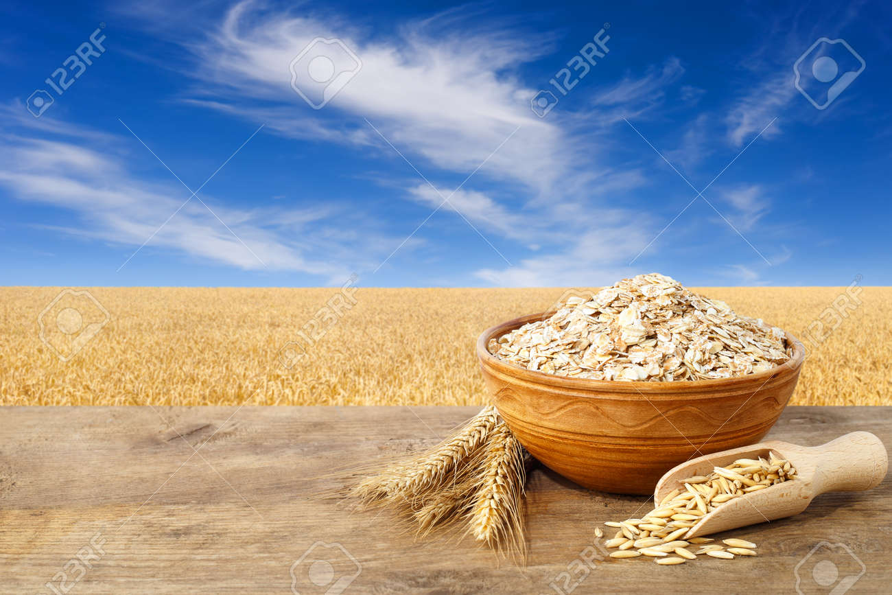 Oat flakes in bowl. Ears of oats and oatmeal in bowl on table with field on the background. Agriculture and harvest concept. Golden field and blue sky with beautiful clouds. Uncooked porridge - 69677987 Oat flakes in bowl. Ears of oats and oatmeal in bowl on table with field on the background. Agriculture and harvest concept. Golden field and blue sky with beautiful clouds. Uncooked porridge - 69677987
