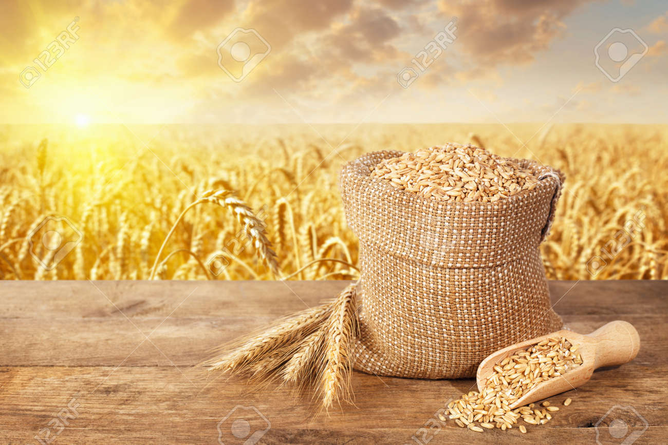 wheat ears and grains on table - 75183210 wheat ears and grains on table - 75183210