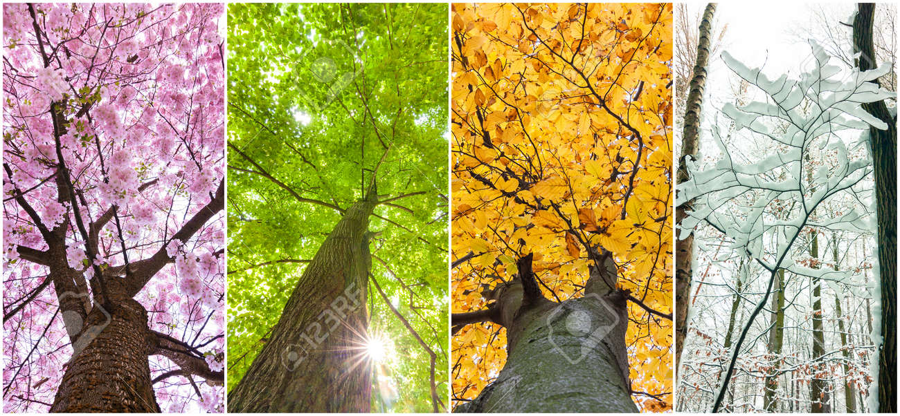 four seasons in the
