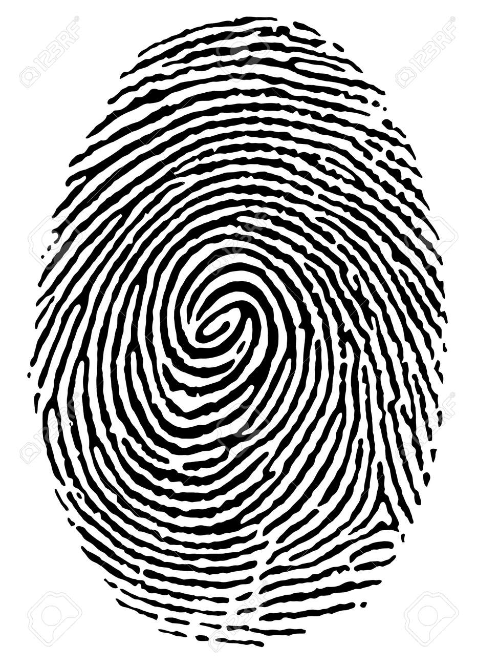 black thumbprint over white royalty free cliparts vectors and
