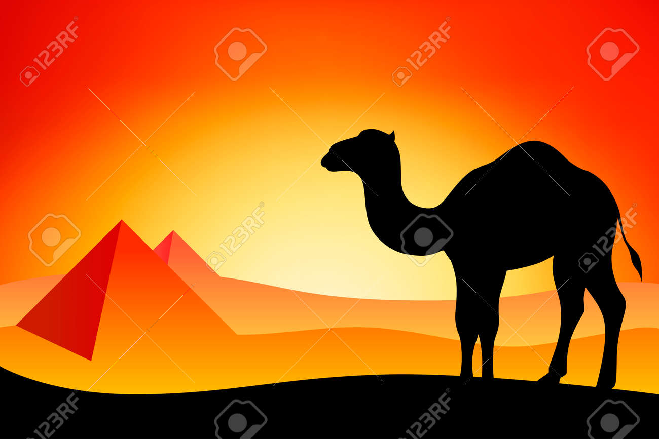 エジプト ラクダ シルエット風景自然日没日の出イラストのイラスト素材 ベクタ Image