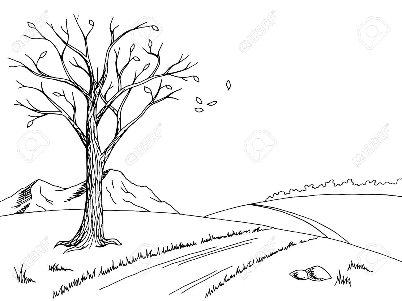 古いツリー秋グラフィック アート黒白い風景スケッチ イラストのイラスト素材 ベクタ Image 65886214