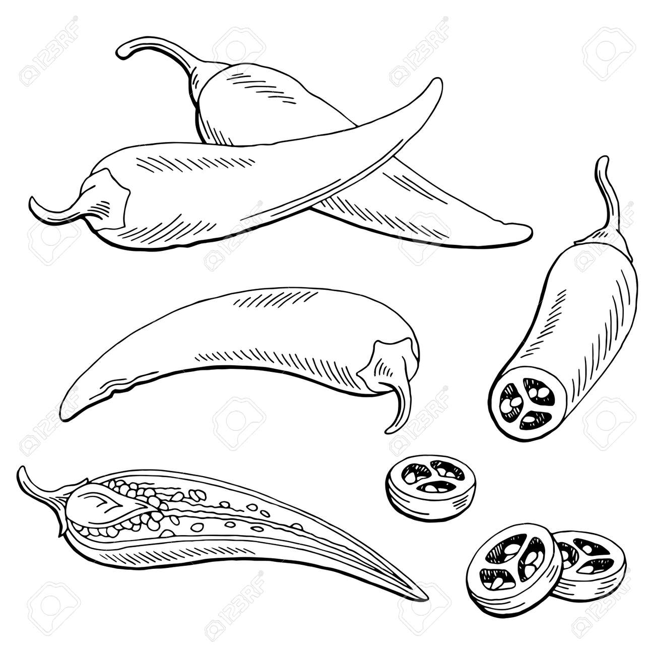 唐辛子唐辛子グラフィック黒白い分離スケッチ イラスト のイラスト素材 ベクタ Image