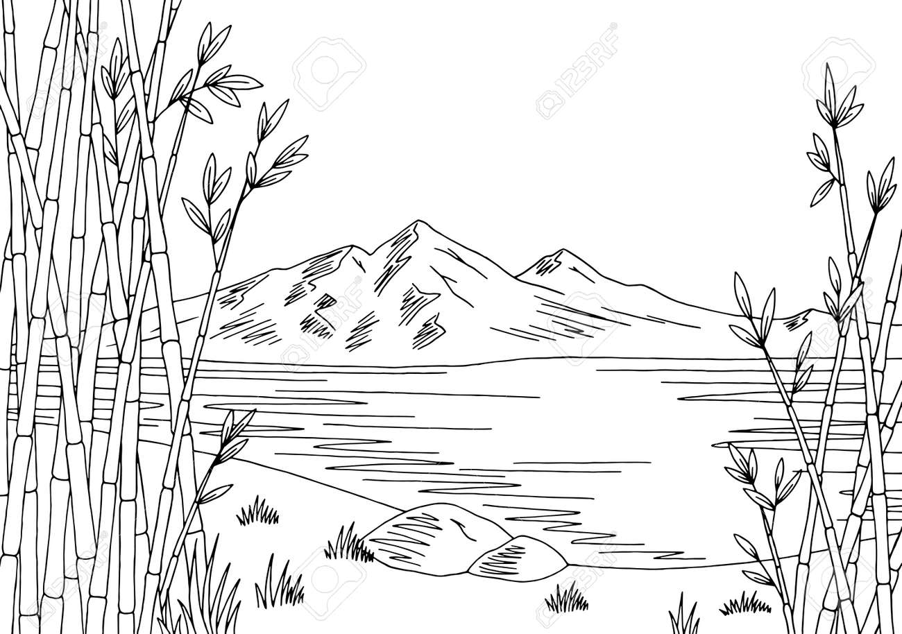 竹湖グラフィック モノクロ風景スケッチ イラスト のイラスト素材 ベクタ Image