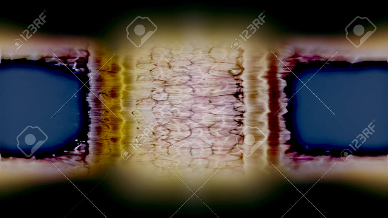 etiam-dictum-ipsum-a-felis