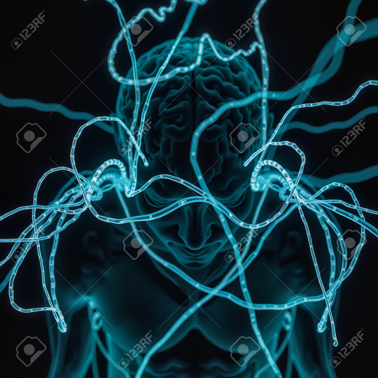 etiam-dictum-ipsum-a-felis