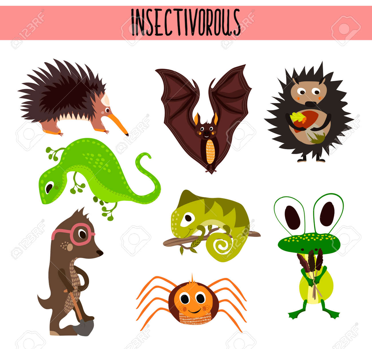 귀여운 동물의 만화 세트 세계 숲과 열 대 정글의 다른 부분에 살고있는 Insectivores. 박쥐, 도마뱀, 고슴도치, 사마귀, 거미, 카멜레온 및 개구리 재미. 벡터 일러스트 레이 션 로열티 무료 사진, 그림, 이미지 그리고 귀여운 동물의 만화 세트 세계 숲과 열 대 정글의 다른 부분에 살고있는 Insectivores. 박쥐, 도마뱀, 고슴도치, 사마귀, 거미, 카멜레온 및 개구리 재미. 벡터 일러스트 레이 션 로열티 무료 사진, 그림, 이미지 그리고